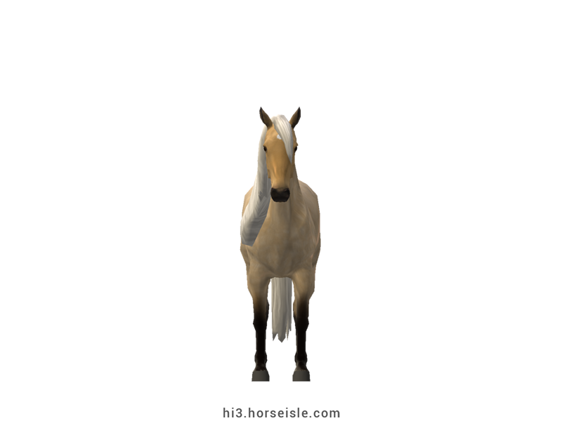 Rocky Mountain Horse Pale Yellow Silver Corn Roan Coat (front view)